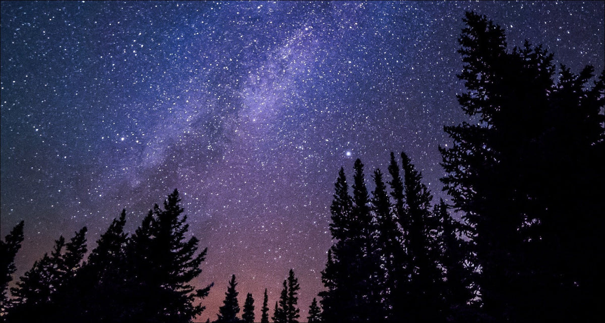 Story of Awakening Lifestyle Community Spirituality Relationships Love Light Meditation Oneness Earth Balance Healing Shop Store Charity Tree Nature Read Write Destiny Free Will